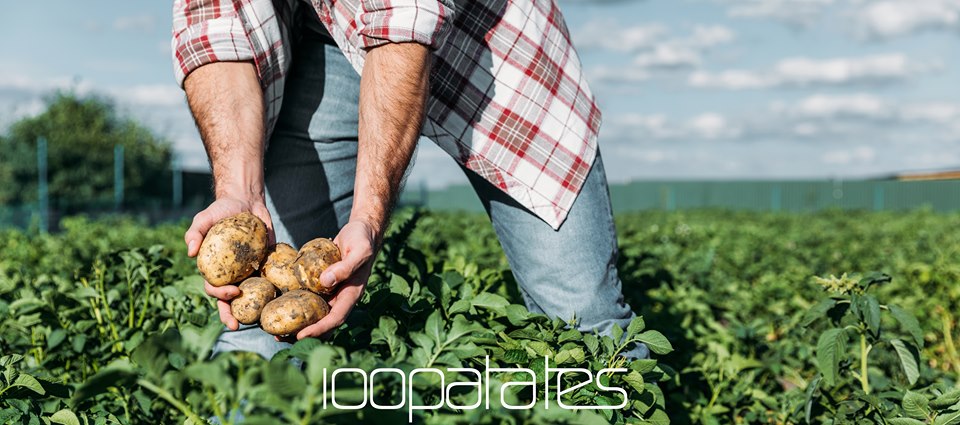 « 100 Patates » partenaire de votre santé !